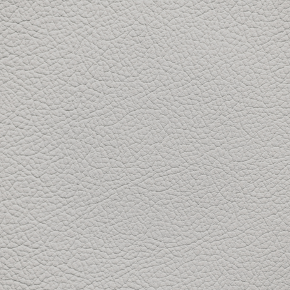 Mercedes Titanium Gray Leather Dye