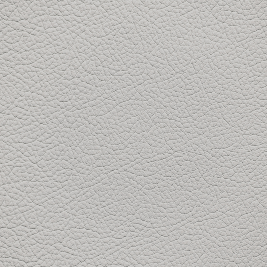 Mercedes Titanium Gray Leather Dye
