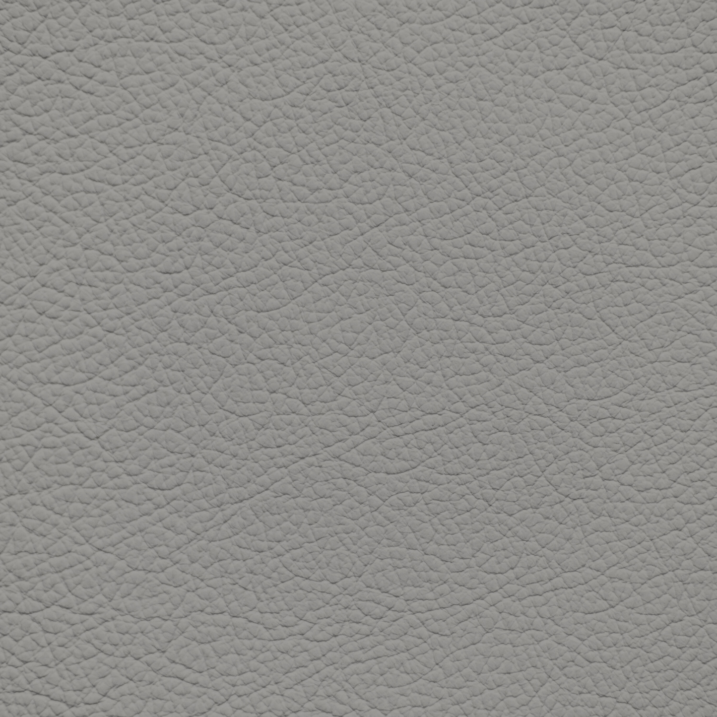 Ford/Lincoln/Mercury Titanium Leather Dye