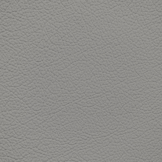 Ford/Lincoln/Mercury Titanium Leather Dye