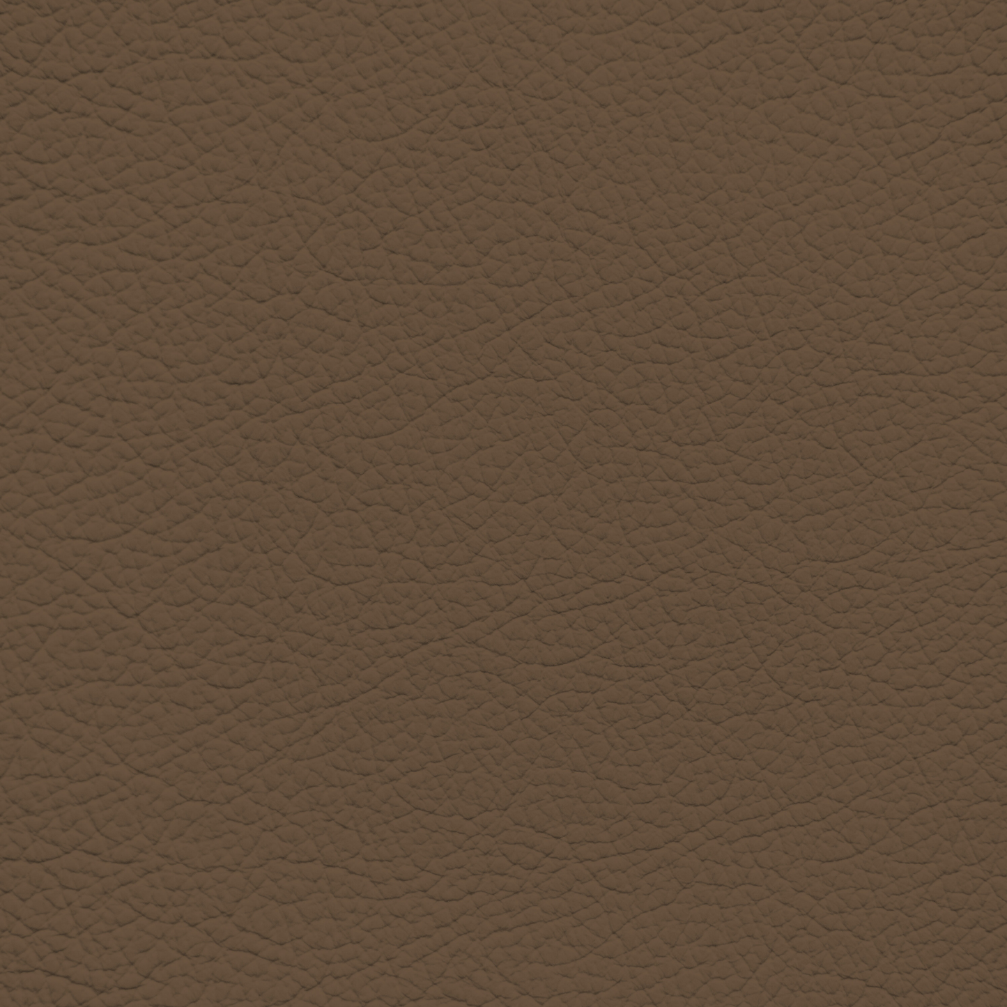Mercedes Tobacco Leather Dye