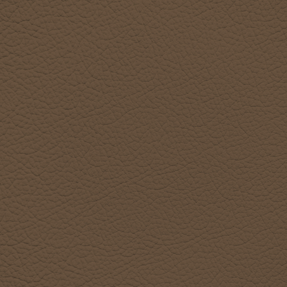 Mercedes Tobacco Leather Dye