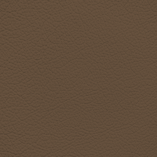 Mercedes Tobacco Leather Dye