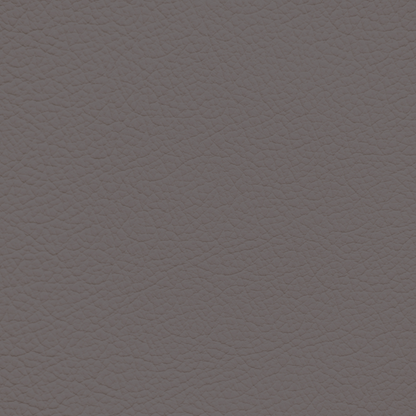 Chrysler/Dodge/Jeep/Plymouth Toffee Leather Dye