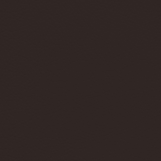 Toyota Topaz Black Leather Dye