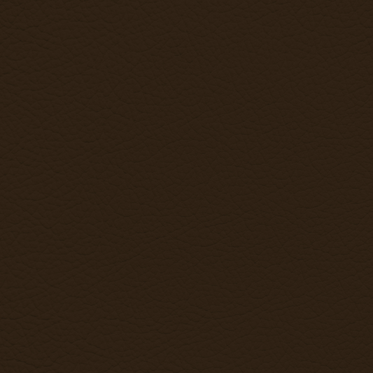 Porsche Truffle Brown Leather Dye