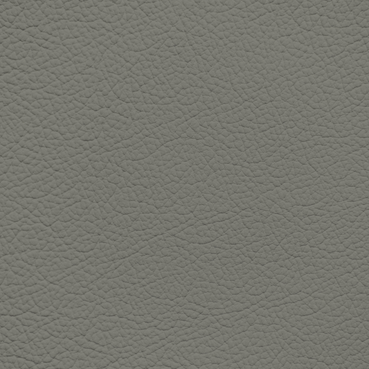 Ford/Lincoln/Mercury Truffle Leather Dye