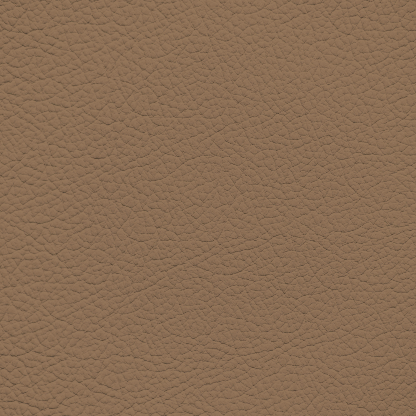 Lexus Tundra Tan Leather Dye
