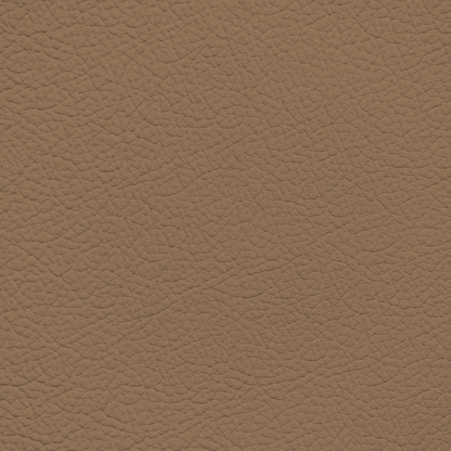Lexus Tundra Tan Leather Dye