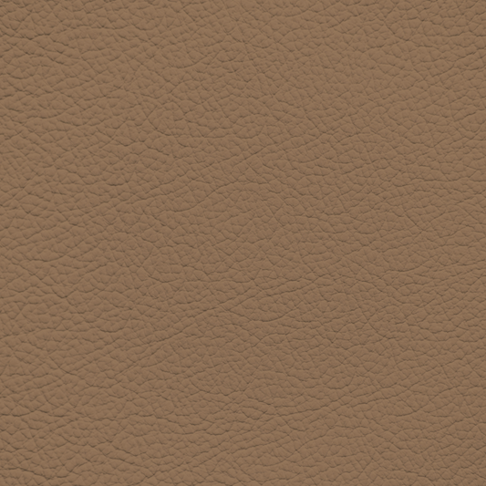 Lexus Tundra Tan Leather Dye