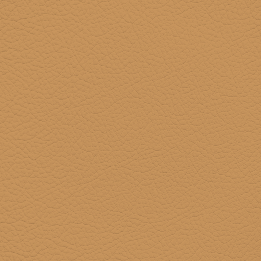 Chrysler/Dodge/Jeep/Plymouth Tupelo Leather Dye