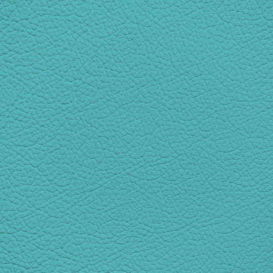 Rolls Royce Turchese Leather Dye