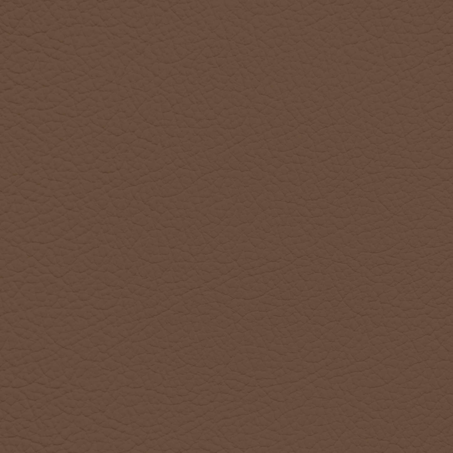 GM Umber Leather Dye