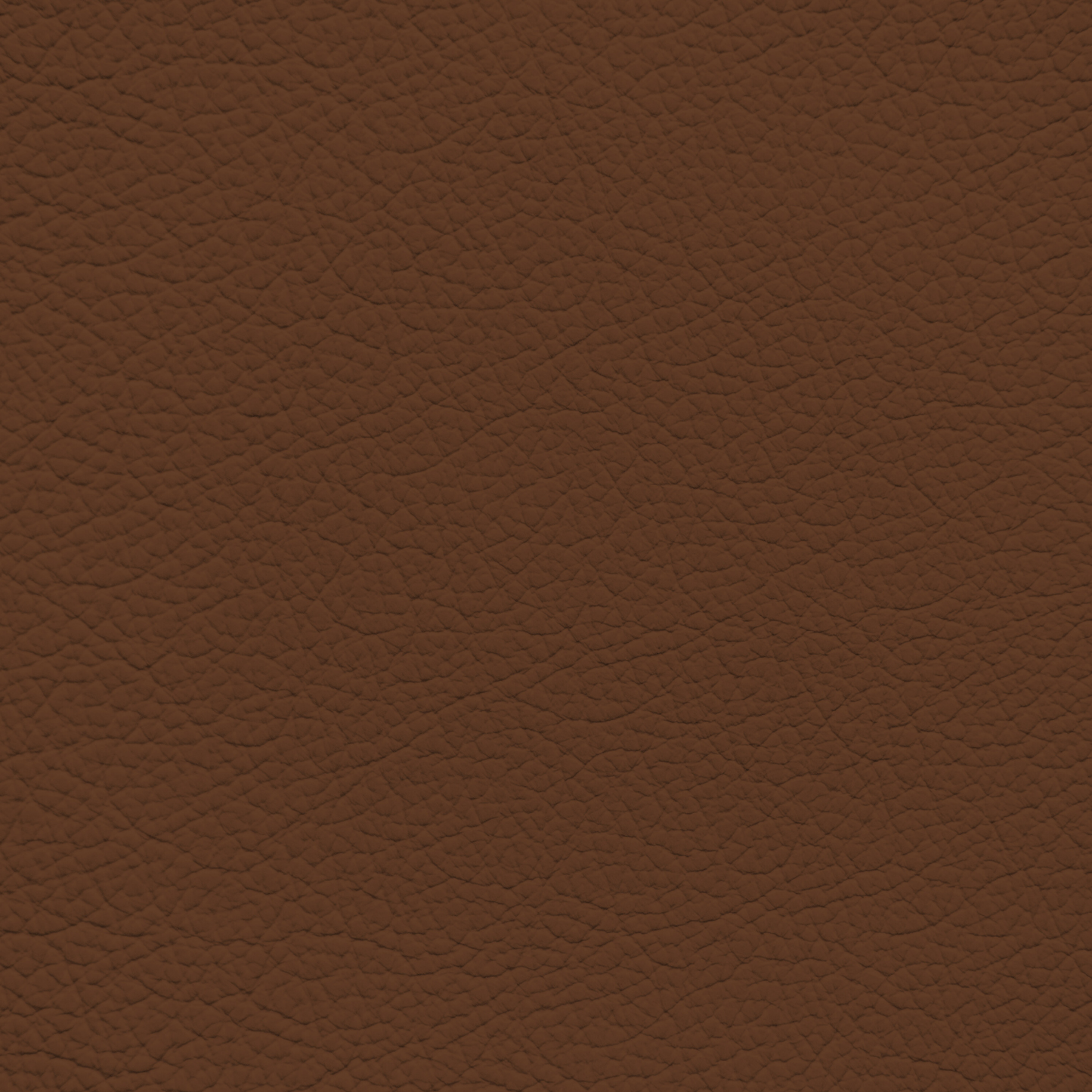 Ford/Lincoln/Mercury Umber Leather Dye