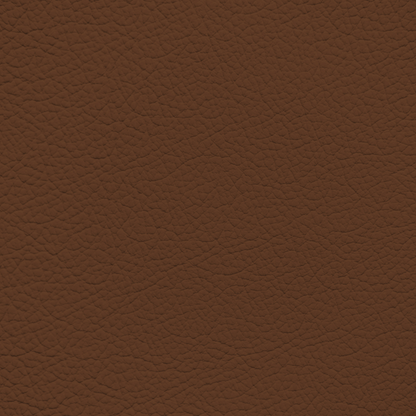 Ford/Lincoln/Mercury Umber Leather Dye