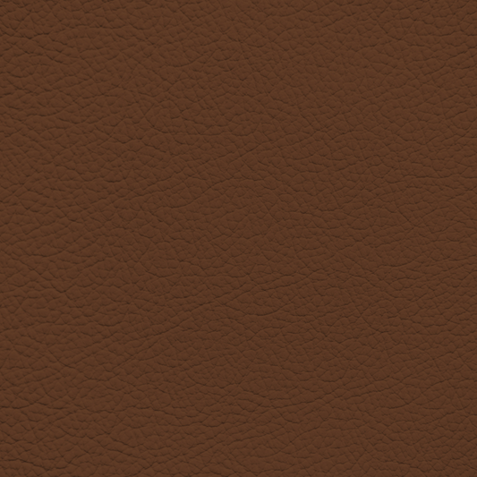 Ford/Lincoln/Mercury Umber Leather Dye