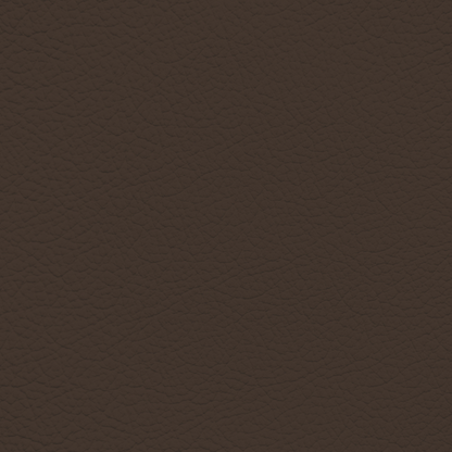 Porsche Umbra Leather Dye