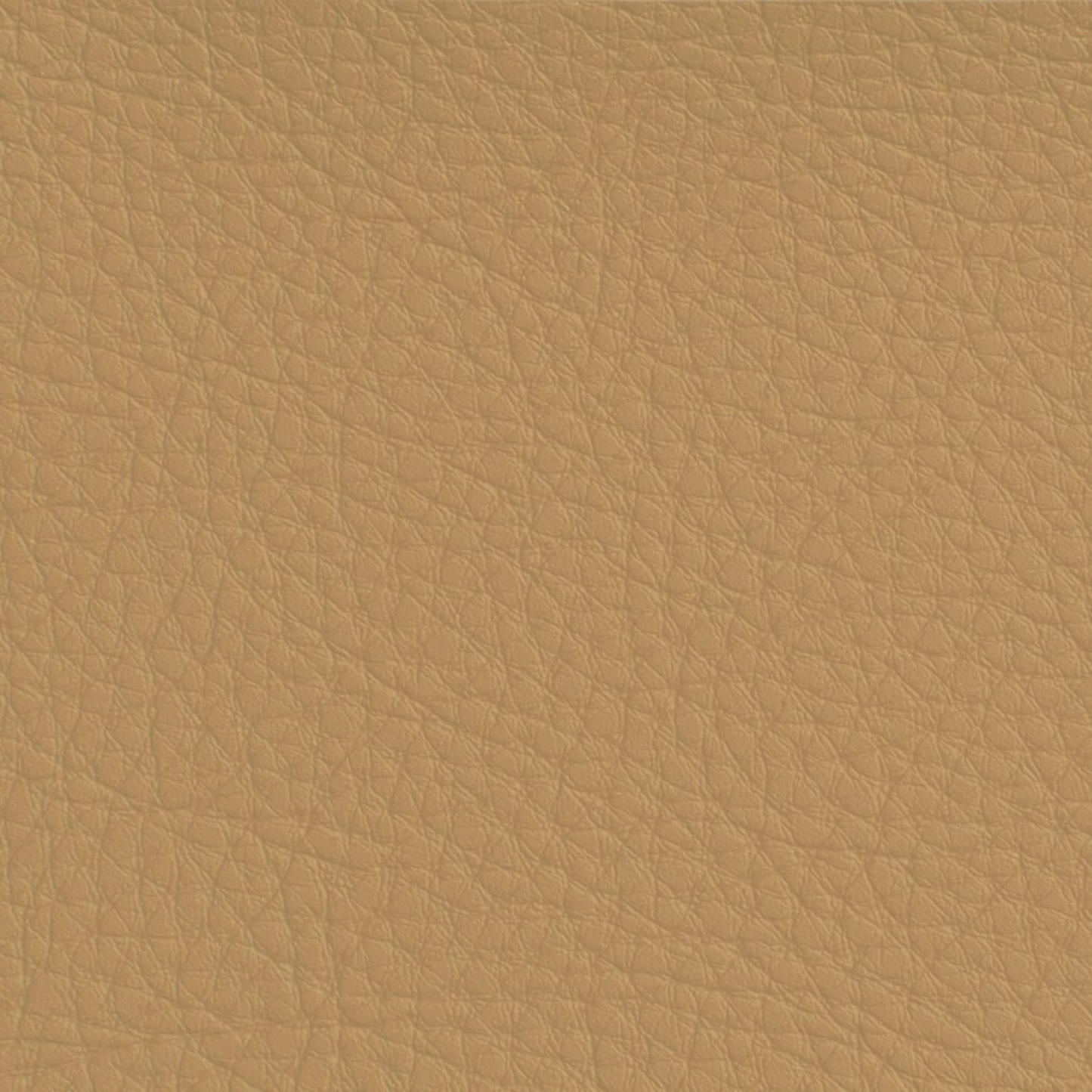 Hyundai Camel Leather Dye