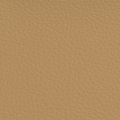 Hyundai Camel Leather Dye