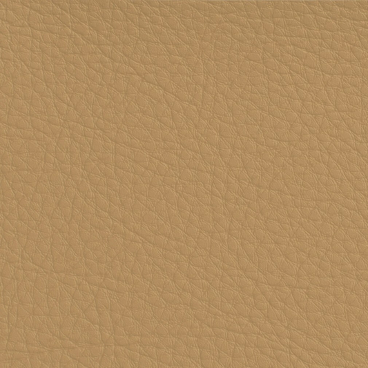 Hyundai Camel Leather Dye