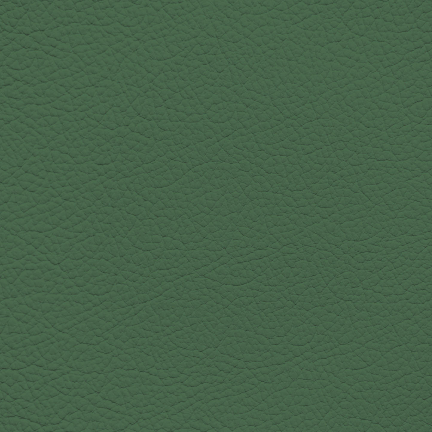 Lamborghini Verde Sagitta Leather Dye