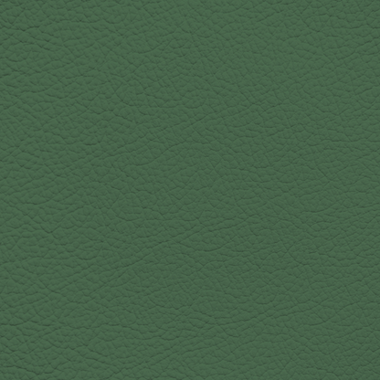 Lamborghini Verde Sagitta Leather Dye