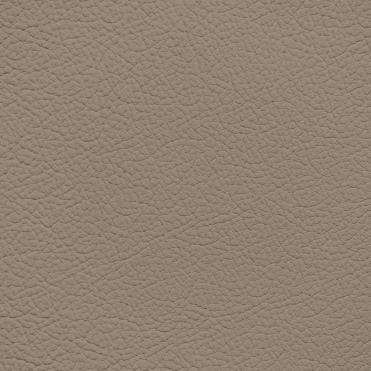 Ford/Lincoln/Mercury Very Light Mink Leather Dye