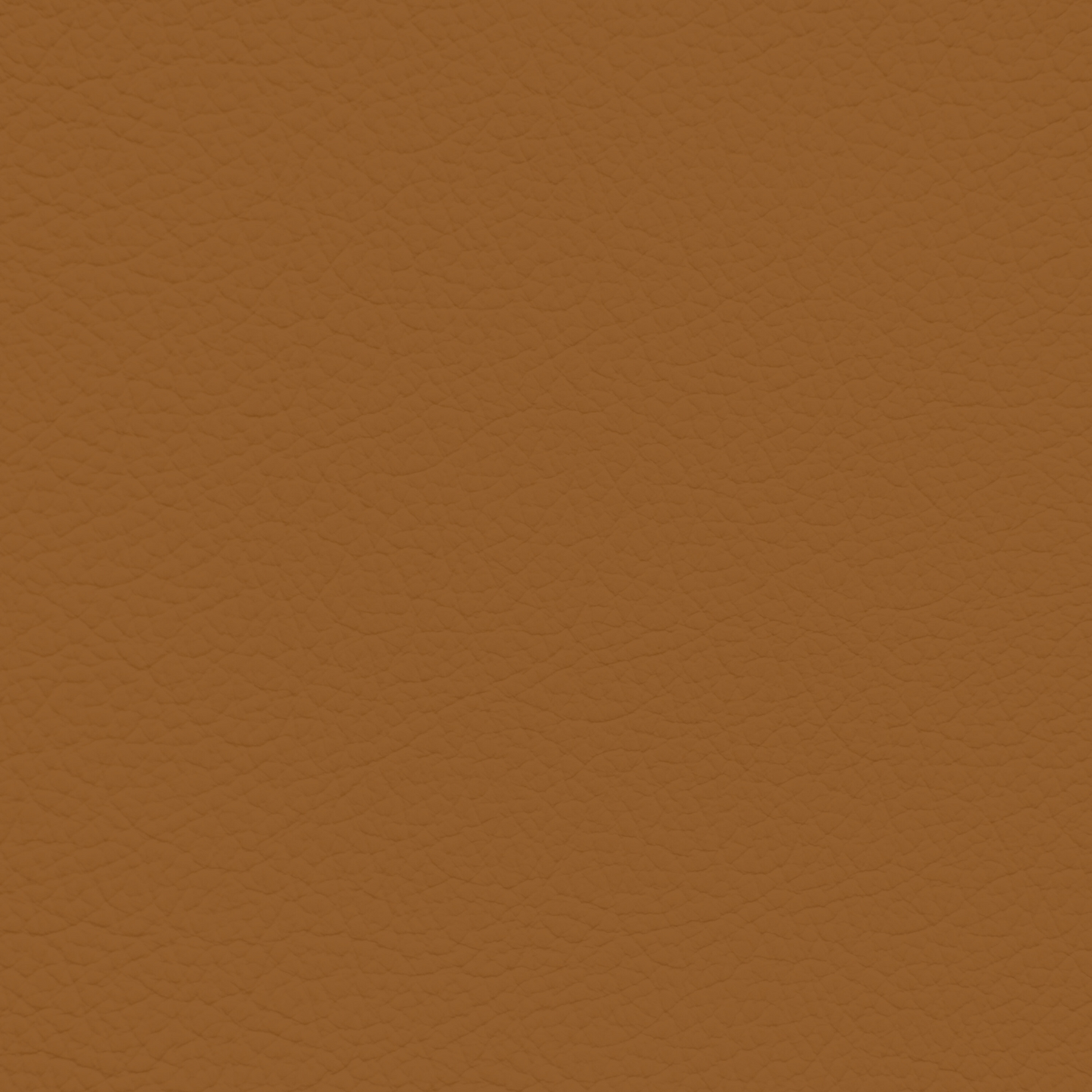 Jaguar Vintage Tan Leather Dye