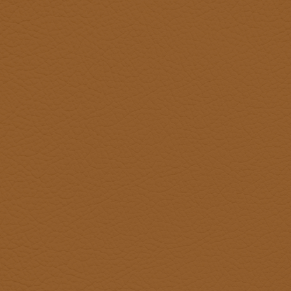 Jaguar Vintage Tan Leather Dye