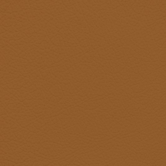 Jaguar Vintage Tan Leather Dye