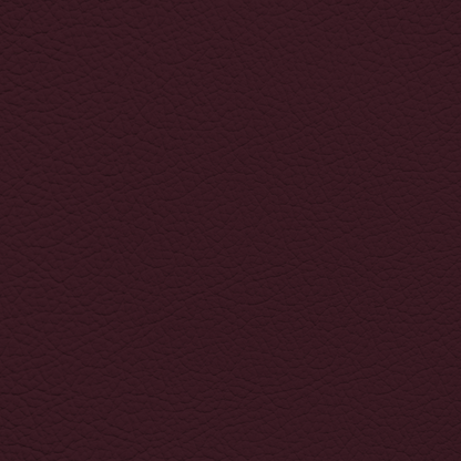BMW Violet Leather Dye