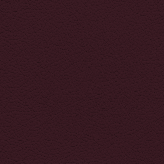 BMW Violet Leather Dye