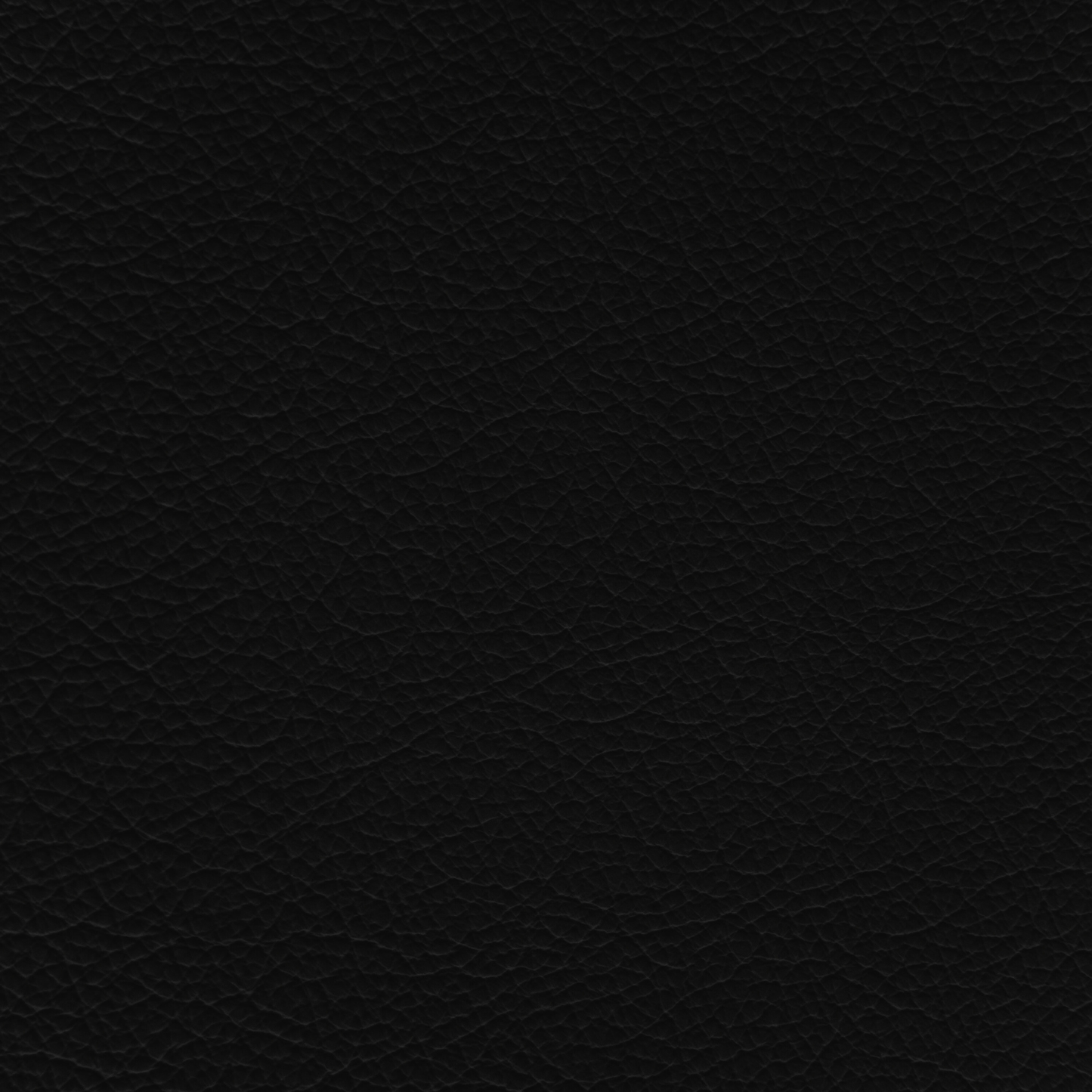 Jaguar Warm Charcoal Leather Dye