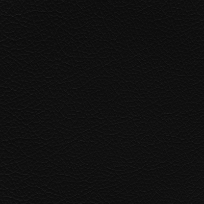 Jaguar Warm Charcoal Leather Dye