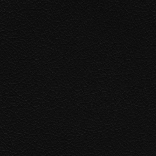 Jaguar Warm Charcoal Leather Dye