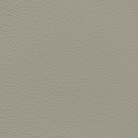 Subaru Warm Ivory Leather Dye