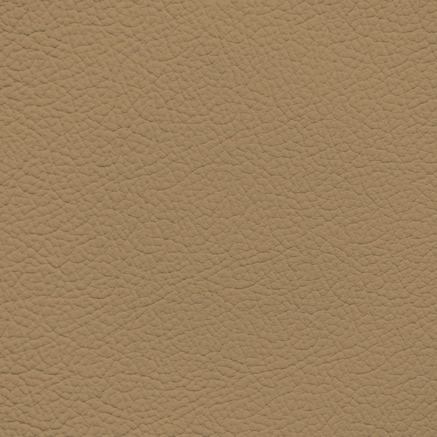 Mercedes Wheat Leather Dye