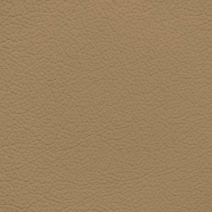 Mercedes Wheat Leather Dye