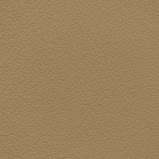 Mercedes Wheat Leather Dye