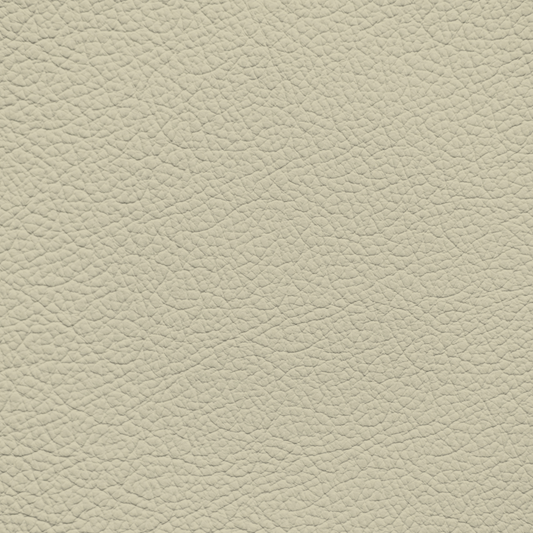 Nissan Wheat Leather Dye