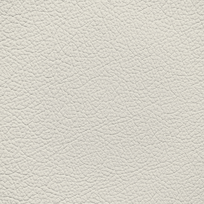 Ford/Lincoln/Mercury White Sand Leather Dye
