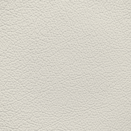 Ford/Lincoln/Mercury White Sand Leather Dye