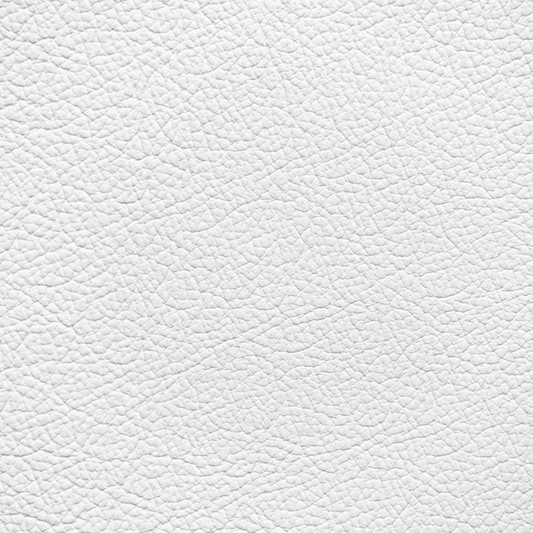 Mercedes White Leather Dye
