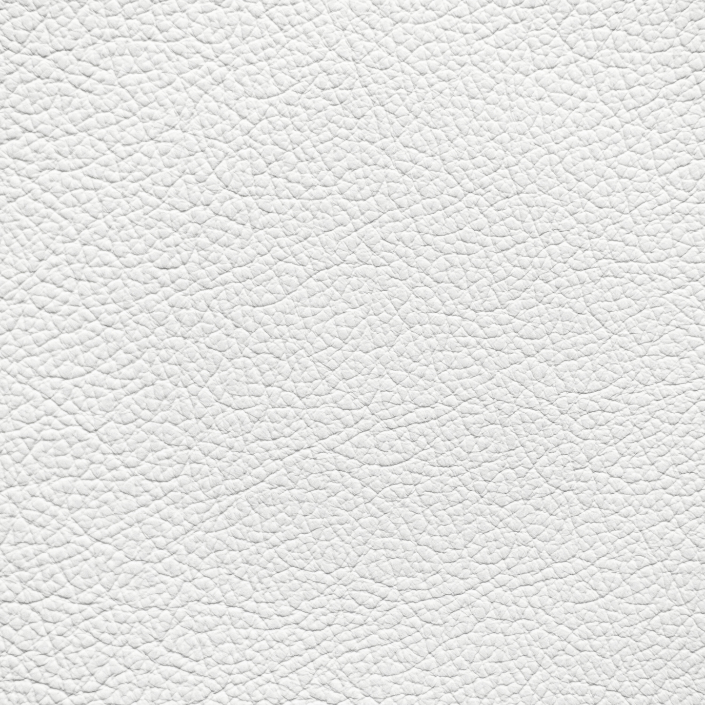 Ford/Lincoln/Mercury White Leather Dye