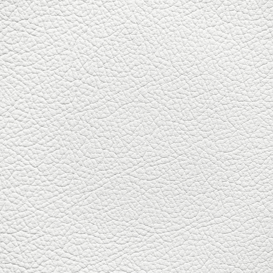 Ford/Lincoln/Mercury White Leather Dye