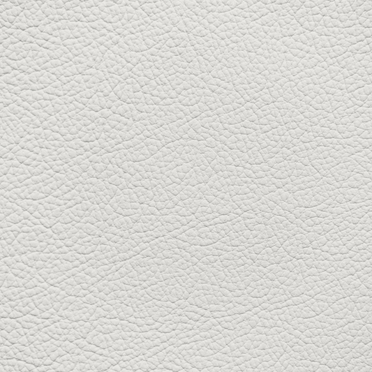 Mazda White Leather Dye