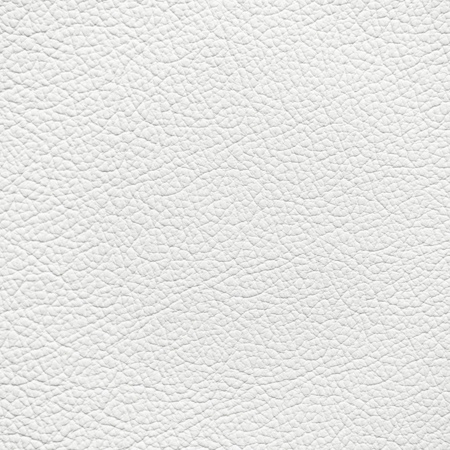 Lexus White Leather Dye