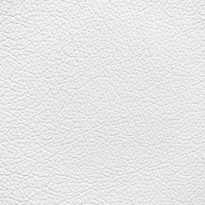 Lexus White Leather Dye