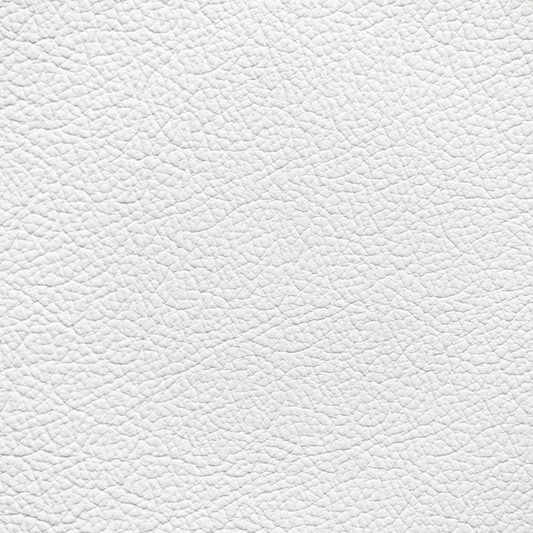 Lexus White Leather Dye