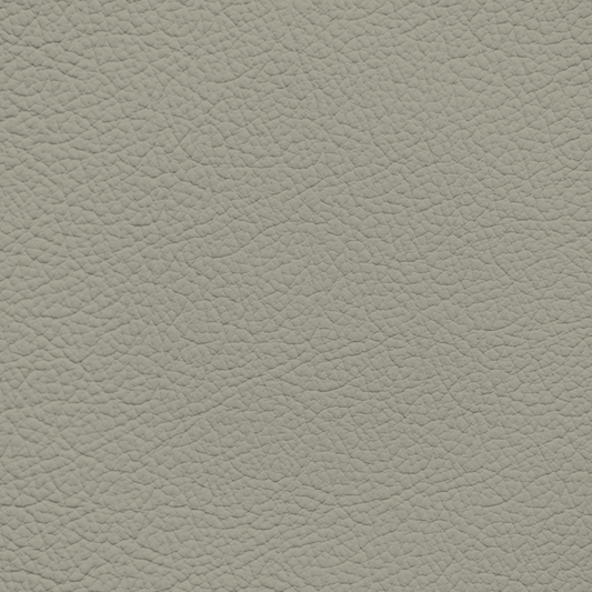 Nissan Willow Leather Dye